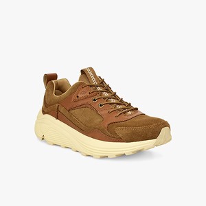 Ugg Miwo Trainer Low Men Sneakers Brown (4930GTXAU)